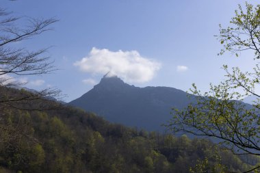 İspanya 'nın kuzeyindeki Picos de Europa Ulusal Parkı' nda yeşil bitki örtüsü ve mavi gökyüzü ile aydınlık güneşli bir bahar gününde tepe ve bulutlu dağ manzarası.