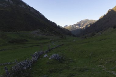 İspanya 'nın kuzeyindeki Picos de Europa Ulusal Parkı' nda yeşil bitki örtüsü ve mavi gökyüzü ile aydınlık güneşli bir bahar gününde tepe ve bulutlu dağ manzarası.