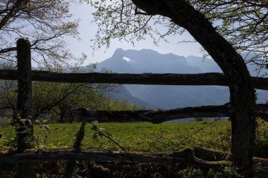 Yeşil bitki örtüsü ve mavi gökyüzü ile güneşli bir bahar gününde zirvesi ve bulutu olan dağ manzarası 