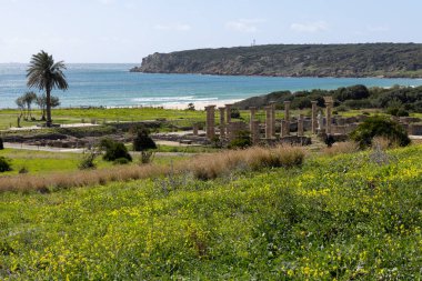 İspanya kıyısındaki Baelo Claudia 'da harabeleri olan Roma arkeolojik alanı. Okyanus manzaralı mavi gökyüzü ile güneşli bir günde..