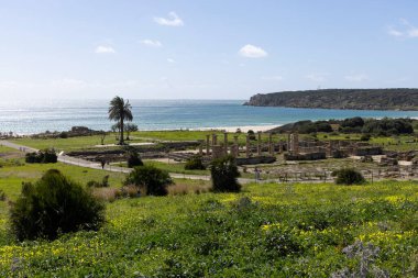 İspanya kıyısındaki Baelo Claudia 'da harabeleri olan Roma arkeolojik alanı. Okyanus manzaralı mavi gökyüzü ile güneşli bir günde..