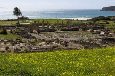 Roman archeological site with forum and stone architecture ruins in Baelo Claudia on the Spanish coast with ocean view on coasta de la luz on a bright sunny day with blue sky. clipart