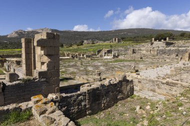 Roman castrum archeological ruins at Baelo Claudia with stone columns and antique buildings on a bright sunny day. clipart