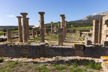 Roma Castrum arkeolojik kalıntıları, parlak güneşli bir günde, taş sütunlar ve antika binalarla Baelo Claudia 'da..