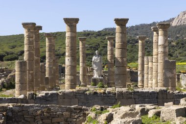 Roma Castrum arkeolojik kalıntıları, parlak güneşli bir günde, taş sütunlar ve antika binalarla Baelo Claudia 'da..