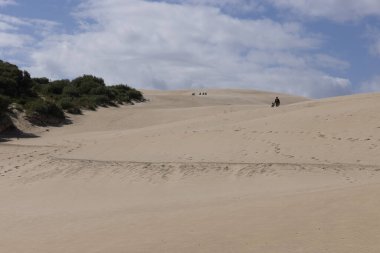 İnsanlar, İspanya 'nın güneyindeki Punta Paloma' da güneşli bir günde kumulda yürüyerek yürüyorlar..