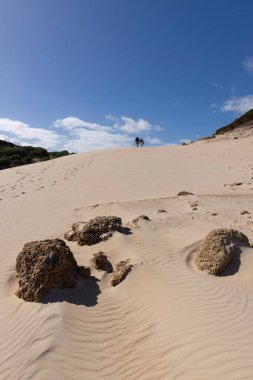 Çölde kumullarda yürüyen insanların dikey manzarası. Mavi gökyüzü olan güneşli bir günde..