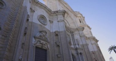 Açık mavi gökyüzü ve palmiye ağacıyla Santa Cruz Cadiz Katedrali.