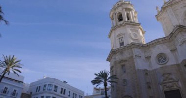 Cadiz Katedrali dış görünüşü berrak mavi gökyüzü ve palmiye ağaçları sağa yatık.