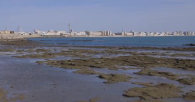 Cityscape of Cadiz city building cepheleri mavi okyanusun yanında güneşli bir günde açık gökyüzü panoramik tepsisiyle