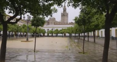 Pation de Banderas 'ın avlu meydanı Seville İspanya' da. Bulutlu bir günde, bulutlu bulutlu bir günde portakal ağaçları.