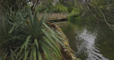 Seville Köprüsü 'ndeki Maria Luisa Parkı ve bulutlu bir günde yeşil bitki örtüsü arasındaki çeşme.