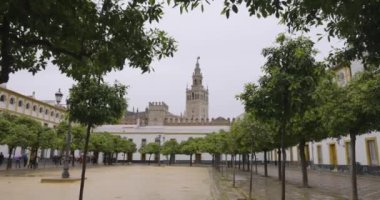 Sevilla sarayının avlusunda portakal ağaçları ve insanların yürüme sahneleri olan Banderas terası.