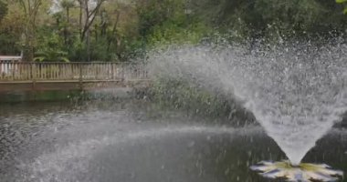 Sevilla 'daki Maria Luisa parkında yeşil bitki ve ağaçlarla dolu bulutlu bir günde köprünün yanında akan çeşme.