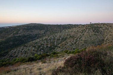 Altın saat ışığı çarpıcı bir manzarayı gözler önüne seriyor. Yuvarlanan tepelerde tarımın güzelliğini gösteriyor. Doğanın insan yetiştirme ile uyumu vurguluyor..
