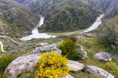 Bereketli, yeşil dağları ve engebeli kayalık araziyi kesen dolambaçlı bir nehrin çarpıcı manzarası bulutlu bir gökyüzü altında.