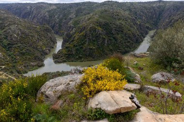 Dağlar ve kayalık arazilerle çevrili dolambaçlı bir nehri olan yemyeşil bir vadinin büyüleyici manzarası parçalı bulutlu bir gökyüzünün altında..
