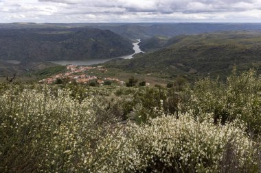 Verimli yeşillik ve çiçek açan bitkilerle çerçevelenmiş kırmızı çatılı evleri olan ve tepelerde kıvrılan bir nehri olan uzak bir köy manzarası..