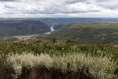 Panoramik bir manzara, bulutlu bir gökyüzünün altında etrafı taze beyaz çiçeklerle çevrili tepelerin arasında kıvrılan bir nehri sergiliyor..