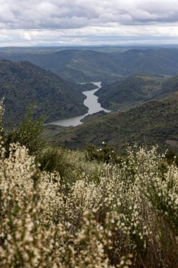 Yeşil tepeleri oyan dolambaçlı bir nehrin geniş bir manzarası bulutlu gökyüzünün altında yemyeşil bir manzara, barışın ve doğal güzelliğin vücut bulmuş hali..