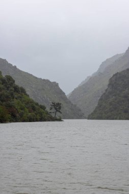 İki gür dağ tarafından çerçevelenmiş, nehrin kenarında duran yalnız bir ağaç, sakin nehir sularına karşı çarpıcı bir kontrast oluşturuyor..