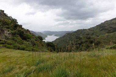 Yeşil tepeler arasında kıvrımlı bir nehri olan yemyeşil bir vadi bulutlu bir gökyüzünün altında doğanın sükunetini yakalıyor..