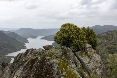 Bereketli yeşil bir vadide, bulutlu bir gökyüzünün altında huzur içinde akan bir nehrin göze çarpan panoramik görüntüsü..