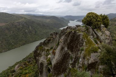 Engebeli uçurumlarda süzülen bir nehrin nefes kesici manzarası, yemyeşil, bulutlu bir gökyüzünün altında, doğanın dinginliğini ve ihtişamını ön plana çıkarıyor..