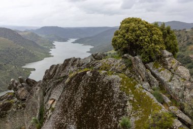 Bulutlu bir gökyüzünün altında yemyeşil yemyeşil süslenmiş kayalık tepelerin arasından süzülen bir nehrin nefes kesici manzarası, doğal güzellikleri yakalıyor..