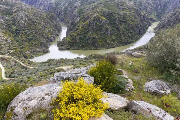 Bereketli, yeşil dağları ve engebeli kayalık araziyi kesen dolambaçlı bir nehrin çarpıcı manzarası bulutlu bir gökyüzü altında.