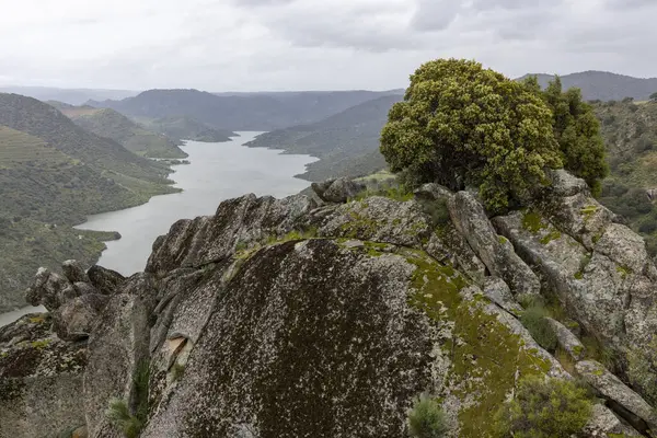 Bulutlu bir gökyüzünün altında yemyeşil yemyeşil süslenmiş kayalık tepelerin arasından süzülen bir nehrin nefes kesici manzarası, doğal güzellikleri yakalıyor..
