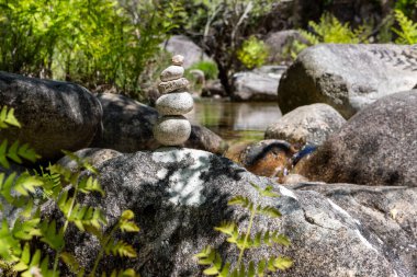 Yüksek açılı, dikkatlice dengelenmiş gri ve beyaz taşlar yığınının yakın çekim görüntüsü daha büyük, koyu renkli kayaların arasında sığ bir derenin sınırında yer alıyor. Yemyeşil eğrelti otları ve diğer yapraklar taş yapının etrafını sarar ve kayaları kısmen karartır..