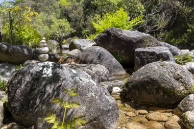 Yüksek açılı, çeşitli büyüklükteki koyu gri ve kahverengi kayalardan oluşan bir dere yatağının yakın görüntüsü. Eğreltiotları da dahil olmak üzere yemyeşil bitki örtüsü kayalarda ve kıyılarda görülebilir..