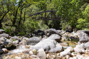 Görüntü kayalık bir arazide dolanan sığ bir akıntıyı gösteriyor. Akış yatağı, çakıl taşlarından büyük kayalara kadar çeşitli boyutlarda taşlardan oluşmaktadır..