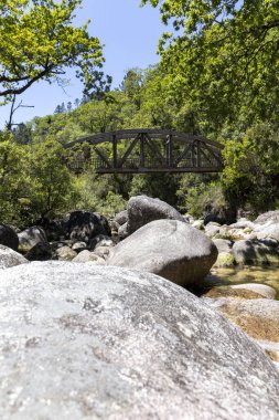 Görüntü, sığ ve kayalık bir akarsu boyunca uzanan ahşap bir köprünün alçak açılı görüntüsünü sergiliyor. Köprü koyu kahverengi, aşınmış ahşaptan ve görünür yapısal elementlerden oluşur.. 