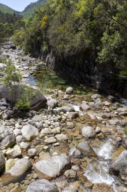 Görüntü, kayalardan ve çakıl taşlarından oluşan bir yatağın üzerinden geçen sığ bir derenin yüksek açılı ve yakın görüntüsünü gösteriyor. Su nispeten berrak görünüyor, biraz renk değişimi muhtemelen mineral ya da tortuya işaret ediyor..