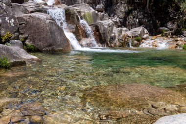 Görüntü, küçük bir şelalenin sığ ve kayalık bir havuza dökülüşünün yüksek açılı ve yakın görüntüsünü sergiliyor. Su son derece berraktır, yüzeyin altındaki kayaların dokusunu ve su bitkilerini ortaya çıkarır..