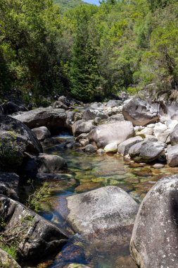 Yüksek açılı, geniş ve küçük gri tonlarda kayalardan oluşan sığ bir dere yatağının orta açılı görüntüsü. Su berrak ve sığ, nehir yatağını tamamen görünür kılıyor. Kenarları boyunca yeşil bitkiler görülebilir.