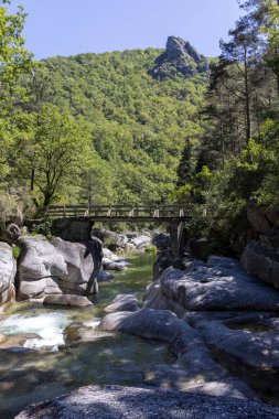 Görüntü yüksek açılı, sığ ve kayalık bir dereyi kaplayan uzun bir tahta köprü görüntüsü veriyor. Köprü yıpranmış, doğal ahşap dokusu ve basit bir yapı sergiliyor. Akış yatağı açık renkli, yuvarlak kayalardan oluşuyor..