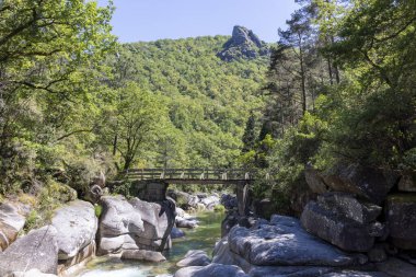 Görüntü alçak açılı, kayalık bir dereyi kaplayan kırsal ahşap bir yaya köprüsünü gösteriyor. Nehir, büyük kayalar ve yemyeşil bitki örtüsüyle karakterize edilmiş bir vadiden akar..