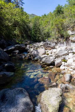 Yüksek açılı, sığ bir derenin orta açılı görüntüsü koyu renkli ve açık renkli kayalardan oluşan bir yatağın üzerinden akıyor. Su berrak, akarsuyun dokusunu ve su yaşamını ortaya çıkarıyor..