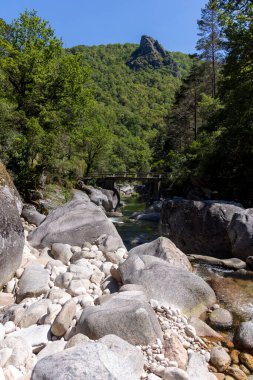 Görüntü, yüksek açılı, dar bir nehri kaplayan kırsal ahşap bir yaya köprüsünü gösteriyor. Nehir yatağı büyük, açık ve koyu gri yuvarlak kayalarla karakterize edilir..
