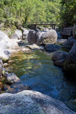 Yüksek açılı, sığ bir dere yatağının yakın görüntüsü. Su nispeten berraktır, kayaların çeşitli boyut ve renklerinden oluşan bir yatak ortaya çıkarır. Yeşil yosun parçaları kayalarda ve sığ sularda görülebilir..