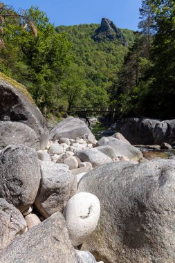 Görüntü kayalık bir akış yatağının zemin seviyesindeki perspektifini sergiliyor. Ön planda çeşitli boyutlarda gri ve açık renkli nehir kayaları ve kayalar var. Daha küçük çakıl taşları daha büyük taşlar arasında görünür..