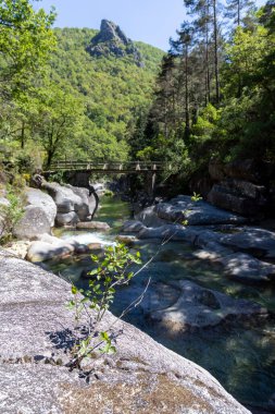 Yüksek açılı, sığ ve kayalık bir dere boyunca uzanan kırsal ahşap bir yaya köprüsü görüntüsü. Derede pürüzsüz, gri taşlar ve görülebilir akışına sahip sığ su bulunur. Ağaçlar ve çalılıklar da dahil olmak üzere yemyeşil bitki örtüsü manzarayı çerçeveliyor.