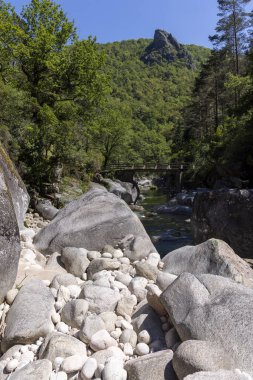 Görüntü yüksek açılı, dar bir dağ deresi boyunca uzanan kırsal ahşap bir köprünün orta ölçekli görüntüsünü sergiliyor. Ön planda büyük, gri kayalar ve nehir kıyısı boyunca daha küçük kayalar var.. 