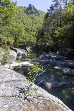 Görüntü, yüksek açılı, sığ bir dereyi kaplayan uzun bir tahta köprü görüntüsü veriyor. Nehir büyük, açık gri kayalar ve kayalardan oluşan bir yatağın üzerinden akar..