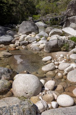Yüksek açılı, yakın plan, çeşitli taş ve çakıl taşlarından oluşan bir nehir yatağı. Taşlar hem pürüzsüz hem de pürüzsüz dokuları gösteren gri, beyaz ve kahverengi renkler sergilerler..