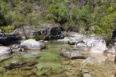 Görüntü, bereketli bir arazide dolaşan sığ bir derenin yüksek açılı, orta ölçekli bir görüntüsünü sergiliyor. Nehrin yatağı çeşitli boyutlarda açık renkli kayalardan oluşur. Kısmen açık, sığ sularda yüzer ve yeşilimsi bir renk gösterir.. 