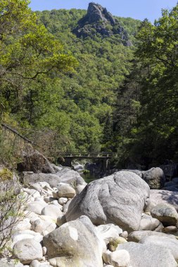 Yüksek açılı, uzun açılı bir çekim, sık bir ormanın içine yerleşmiş kayalık bir dere boyunca uzanan kırsal bir yaya köprüsünü yakalar. Tahtadan yapılmış gibi görünen köprü yıpranmış ve çevreyle sorunsuz bir şekilde harmanlanmış..